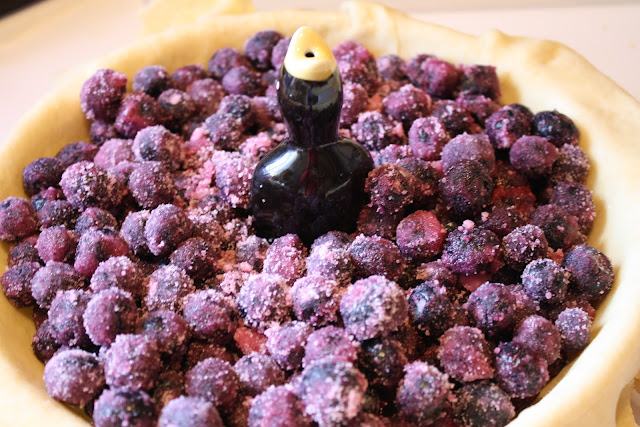 blueberries and sugar with pie bird