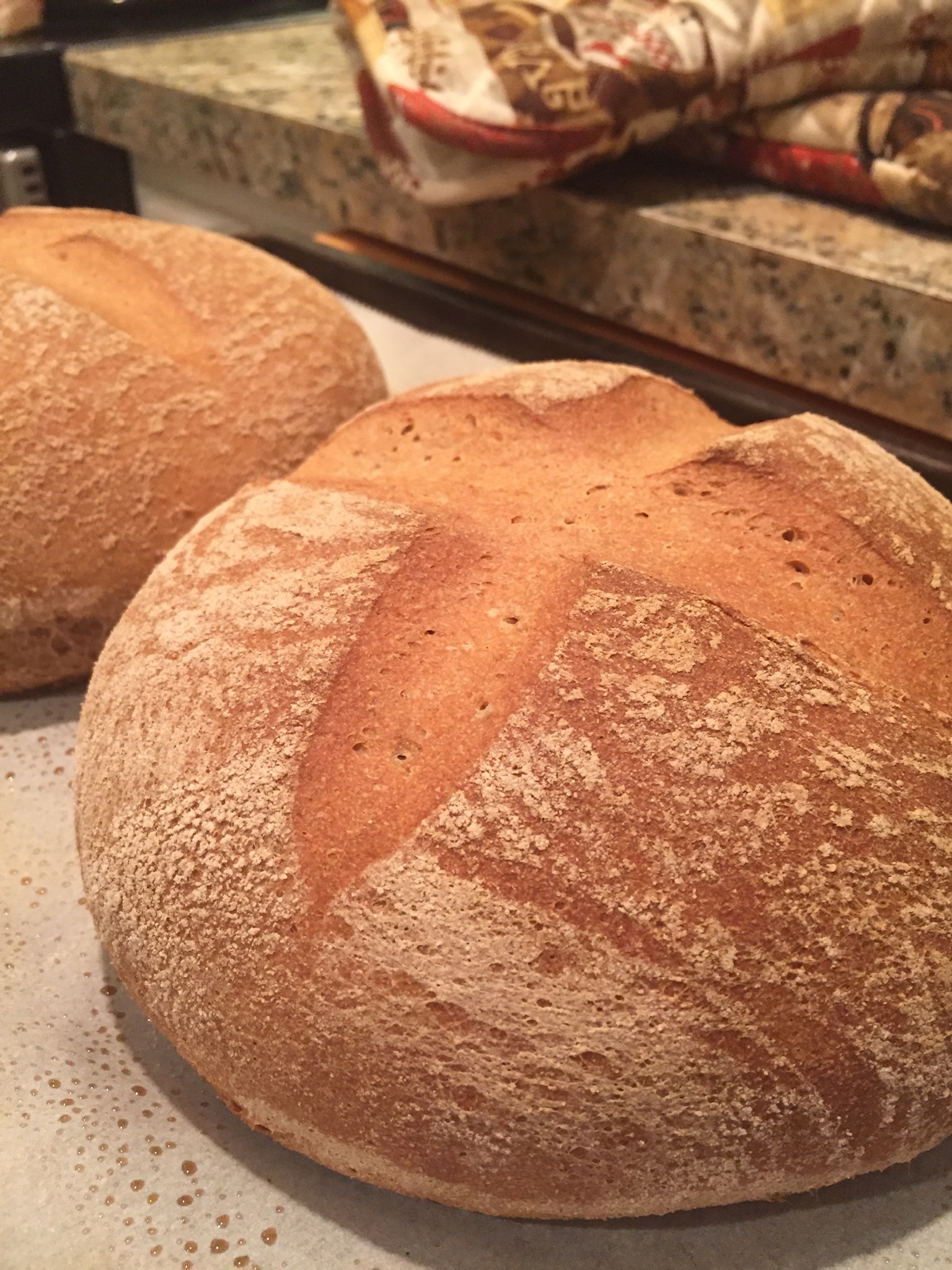 sourdough bread round